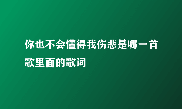 你也不会懂得我伤悲是哪一首歌里面的歌词