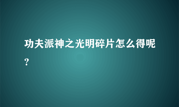 功夫派神之光明碎片怎么得呢？