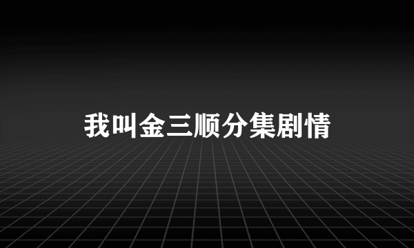 我叫金三顺分集剧情