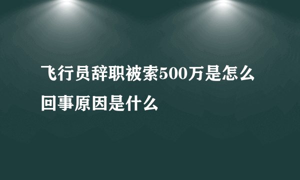 飞行员辞职被索500万是怎么回事原因是什么