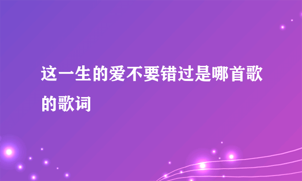 这一生的爱不要错过是哪首歌的歌词