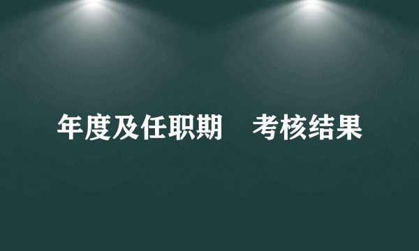 年度及任职期滿考核结果