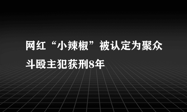 网红“小辣椒”被认定为聚众斗殴主犯获刑8年