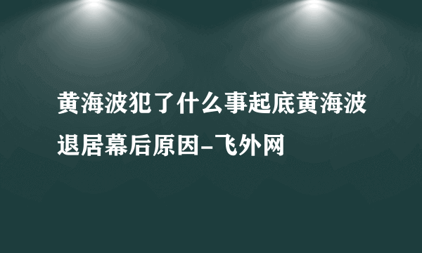 黄海波犯了什么事起底黄海波退居幕后原因-飞外网