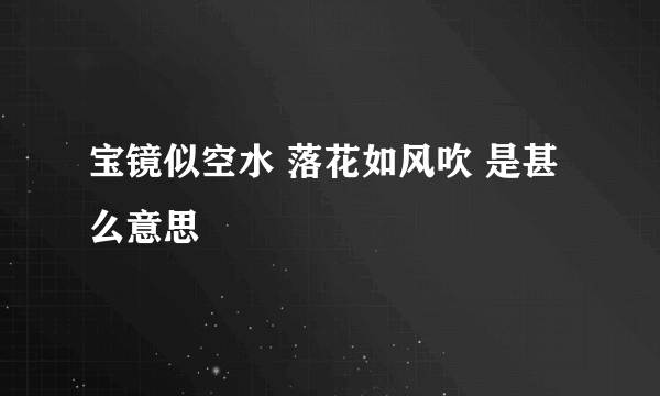 宝镜似空水 落花如风吹 是甚么意思