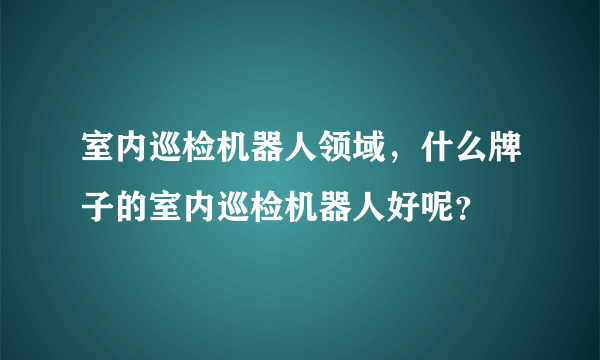 室内巡检机器人领域，什么牌子的室内巡检机器人好呢？