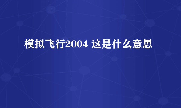 模拟飞行2004 这是什么意思