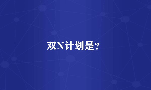 双N计划是？