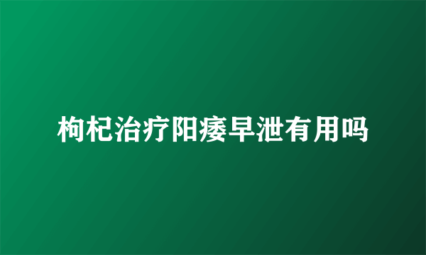 枸杞治疗阳痿早泄有用吗