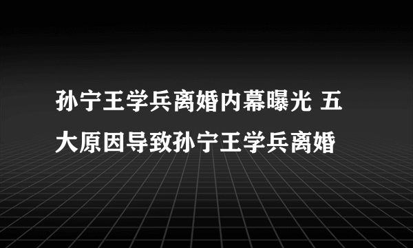 孙宁王学兵离婚内幕曝光 五大原因导致孙宁王学兵离婚