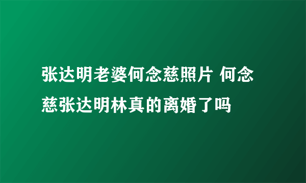 张达明老婆何念慈照片 何念慈张达明林真的离婚了吗