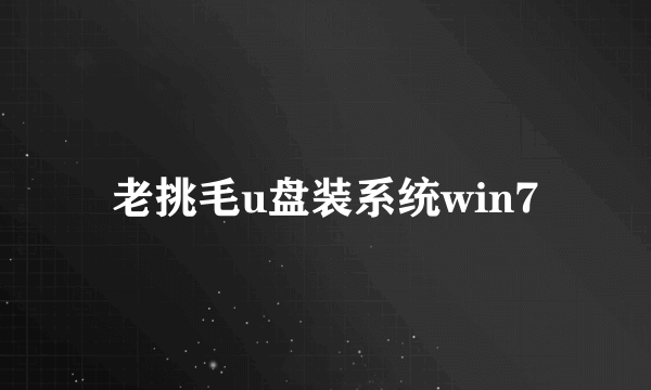 老挑毛u盘装系统win7