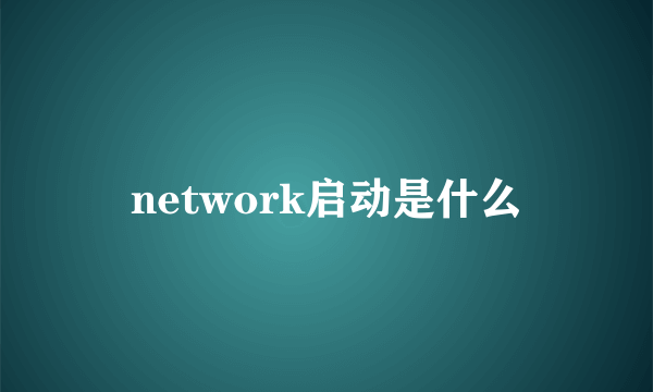 network启动是什么