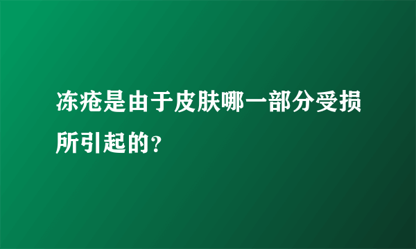 冻疮是由于皮肤哪一部分受损所引起的？