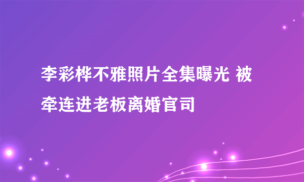 李彩桦不雅照片全集曝光 被牵连进老板离婚官司