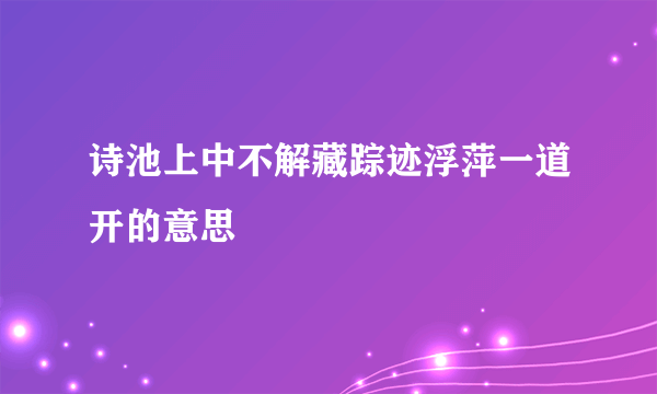 诗池上中不解藏踪迹浮萍一道开的意思