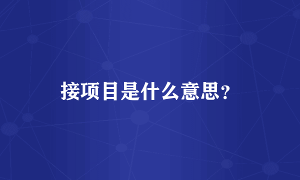 接项目是什么意思？