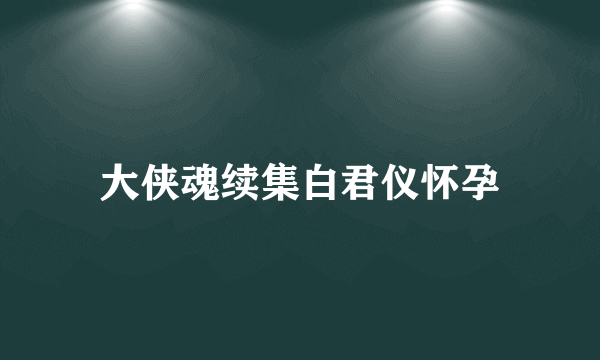 大侠魂续集白君仪怀孕