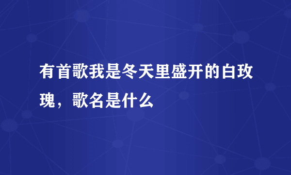 有首歌我是冬天里盛开的白玫瑰，歌名是什么