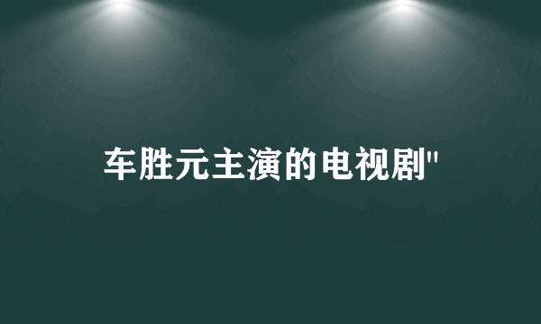 车胜元主演的电视剧