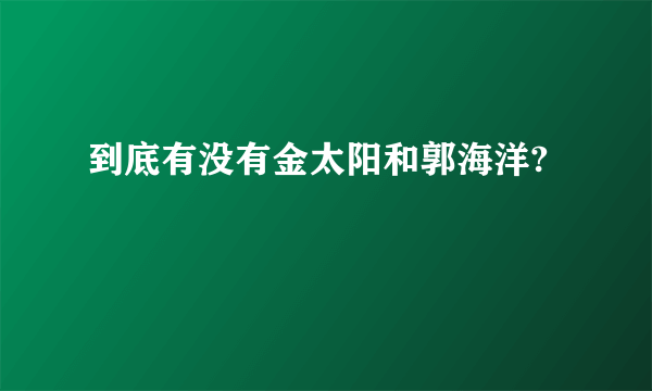 到底有没有金太阳和郭海洋?