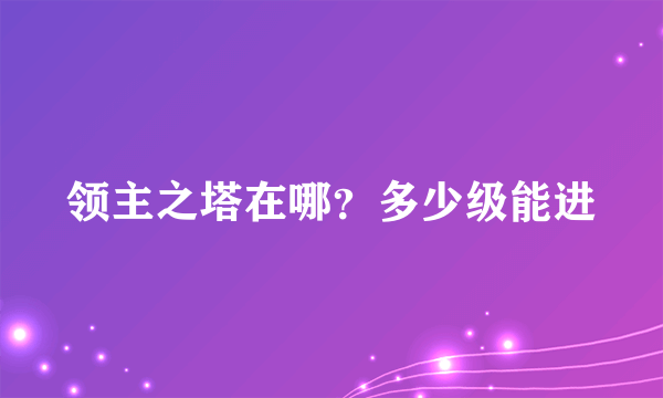 领主之塔在哪？多少级能进