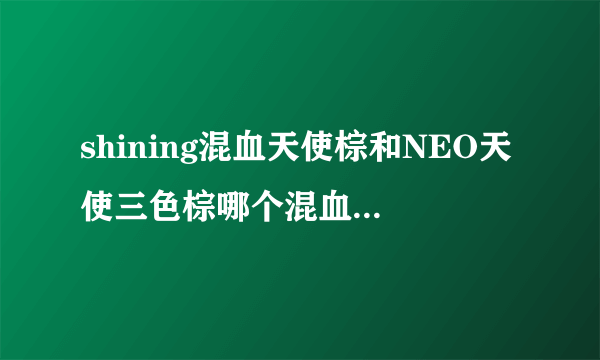 shining混血天使棕和NEO天使三色棕哪个混血效果更好？