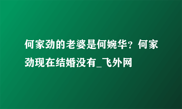 何家劲的老婆是何婉华？何家劲现在结婚没有_飞外网