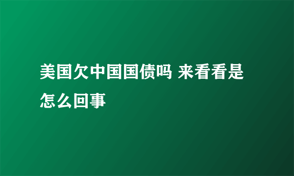 美国欠中国国债吗 来看看是怎么回事