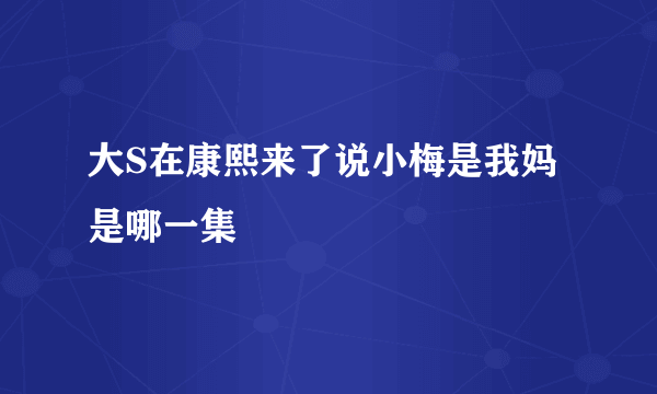 大S在康熙来了说小梅是我妈是哪一集