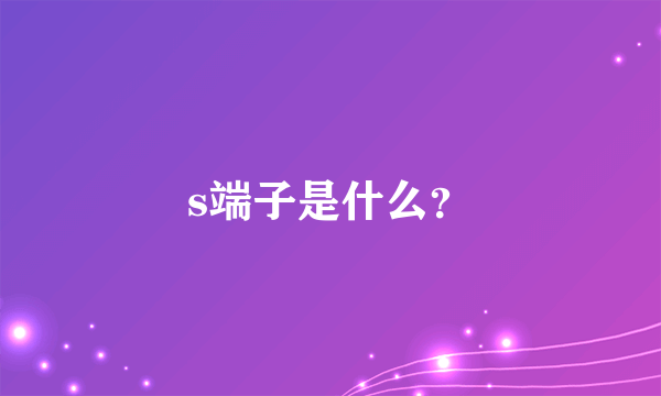 s端子是什么？