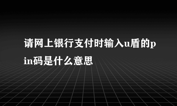 请网上银行支付时输入u盾的pin码是什么意思