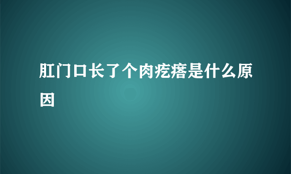 肛门口长了个肉疙瘩是什么原因