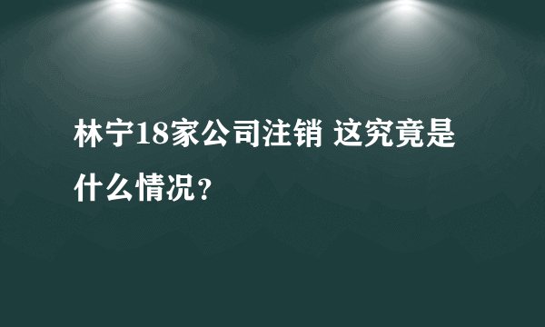 林宁18家公司注销 这究竟是什么情况？