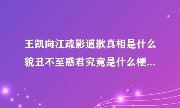 王凯向江疏影道歉真相是什么貌丑不至惑君究竟是什么梗-飞外网