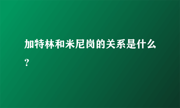 加特林和米尼岗的关系是什么？