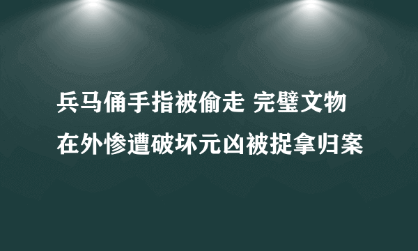 兵马俑手指被偷走 完璧文物在外惨遭破坏元凶被捉拿归案