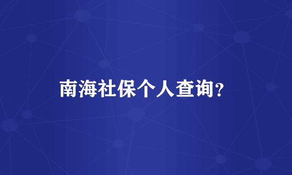 南海社保个人查询？