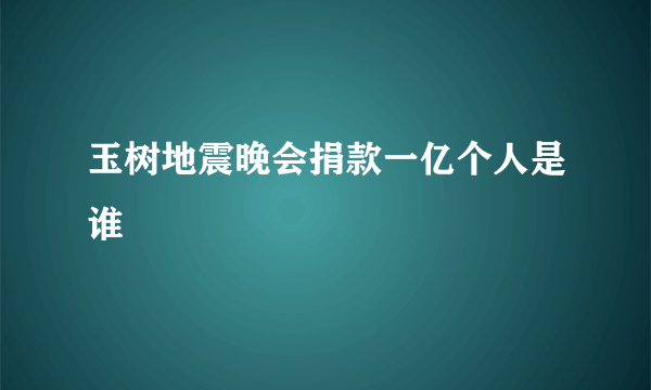 玉树地震晚会捐款一亿个人是谁