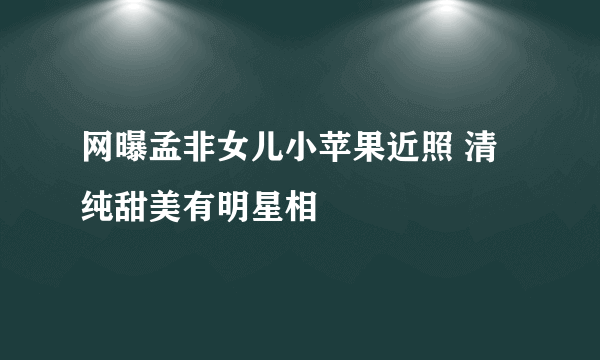 网曝孟非女儿小苹果近照 清纯甜美有明星相