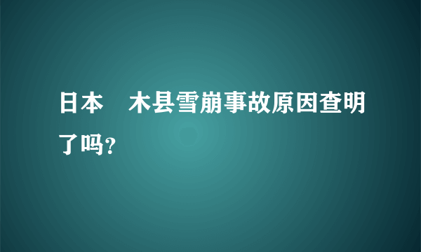 日本栃木县雪崩事故原因查明了吗？