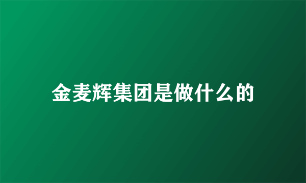 金麦辉集团是做什么的