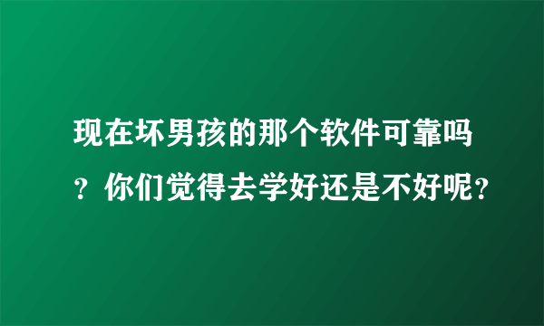 现在坏男孩的那个软件可靠吗？你们觉得去学好还是不好呢？