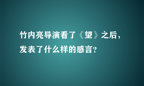 竹内亮导演看了《望》之后，发表了什么样的感言？