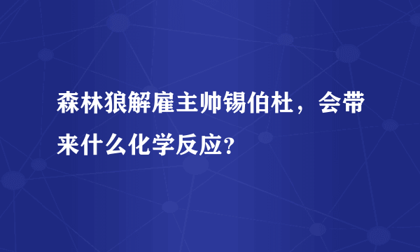 森林狼解雇主帅锡伯杜，会带来什么化学反应？