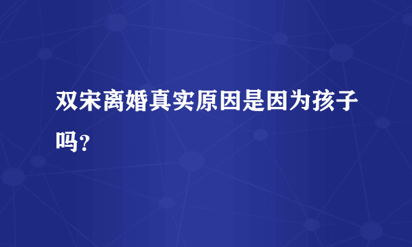 双宋离婚真实原因是因为孩子吗？