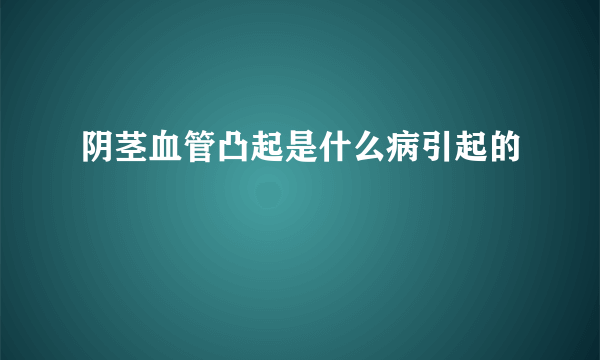 阴茎血管凸起是什么病引起的