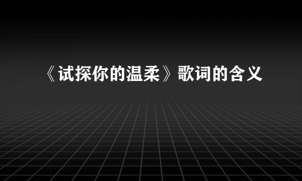 《试探你的温柔》歌词的含义