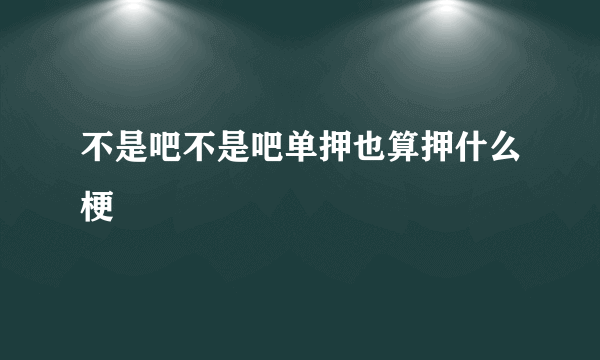 不是吧不是吧单押也算押什么梗