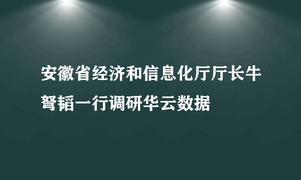 安徽省经济和信息化厅厅长牛弩韬一行调研华云数据